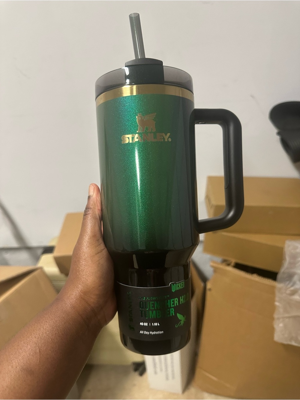 Stanley Wicked Elphaba 40oz Quencher